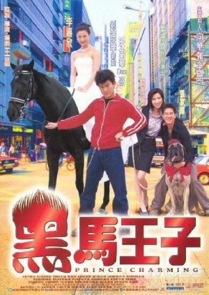黑马王子HD国语中字