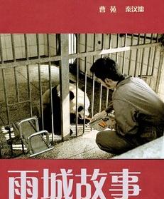 雨城故事