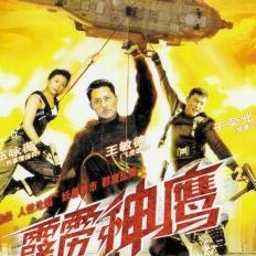 霹雳神鹰