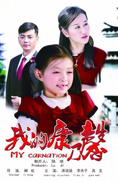 我的康乃馨