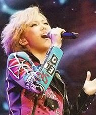 卫兰2014演唱会