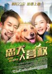 <b><font color='#FF0000'>忠犬大营救</font></b>