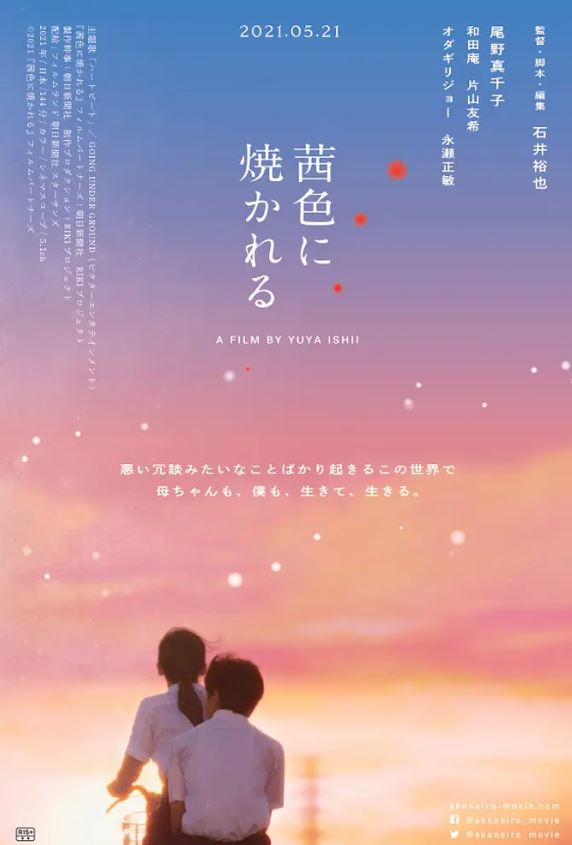 <b><font color='#FF0000'>茜色如烧</font></b>