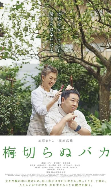<b><font color='#FF0000'>不砍梅树的傻瓜</font></b>