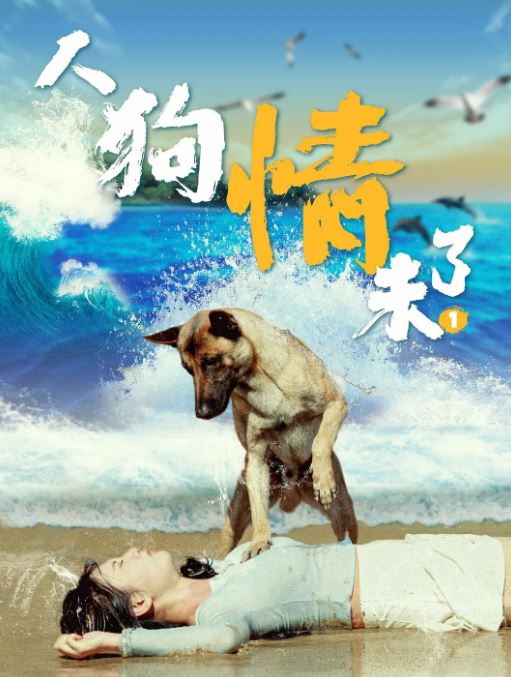 <b><font color='#FF0000'>人狗情未了</font></b>