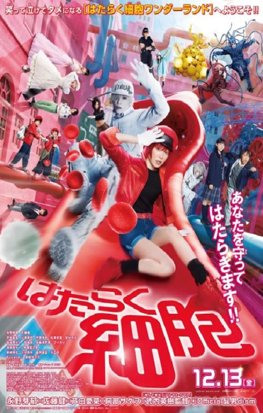 <b><font color='#FF0000'>工作细胞 真人版</font></b>