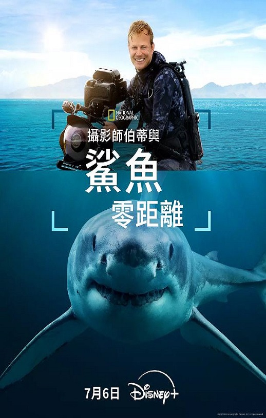 <b><font color='#FF0000'>摄影师贝尔蒂与鲨鱼零</font></b>