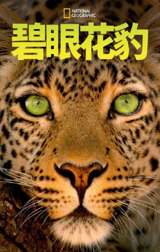 <b><font color='#FF0000'>碧眼花豹</font></b>