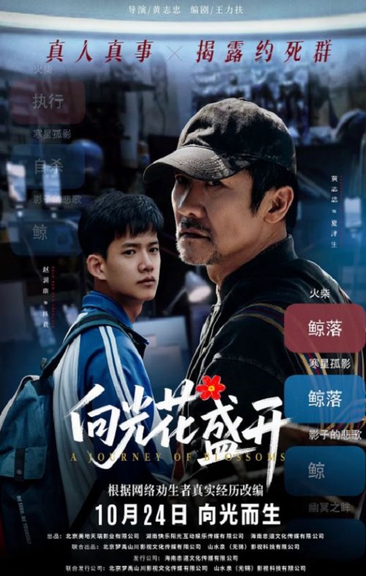 <b><font color='#FF0000'>向光花盛开</font></b>