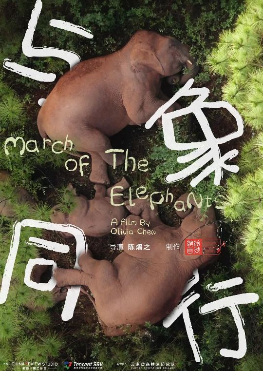 <b><font color='#FF0000'>与象同行</font></b>
