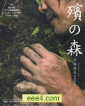 原木之森/殡之森
