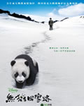 <b><font color='#FF0000'>熊猫回家路/猫熊团圆</font></b>