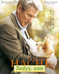 忠犬八公的故事[DVD中