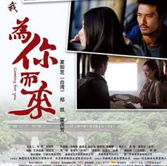 为你而来DVD国语中字