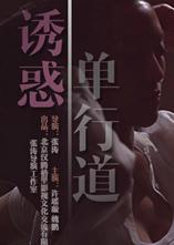 诱惑单行道