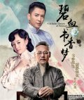 碧血书香梦 全37集