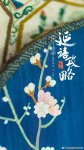 <b>延禧攻略</b>