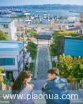 <b>山茶花开时</b>
