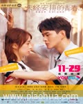 <b>未经安排的青春</b>
