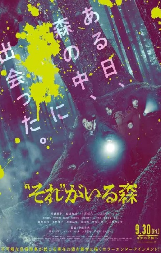 <b><font color='#FF0000'>“那个”所在的森林</font></b>