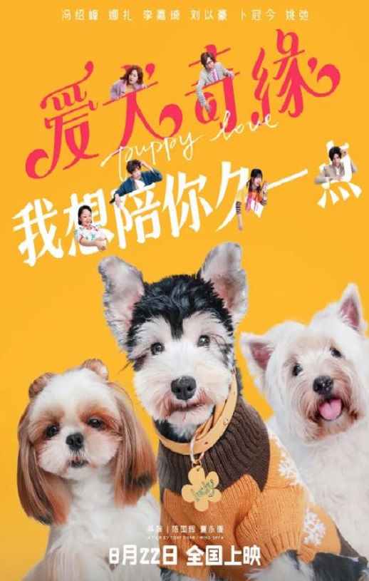 <b><font color='#FF0000'>爱犬奇缘</font></b>