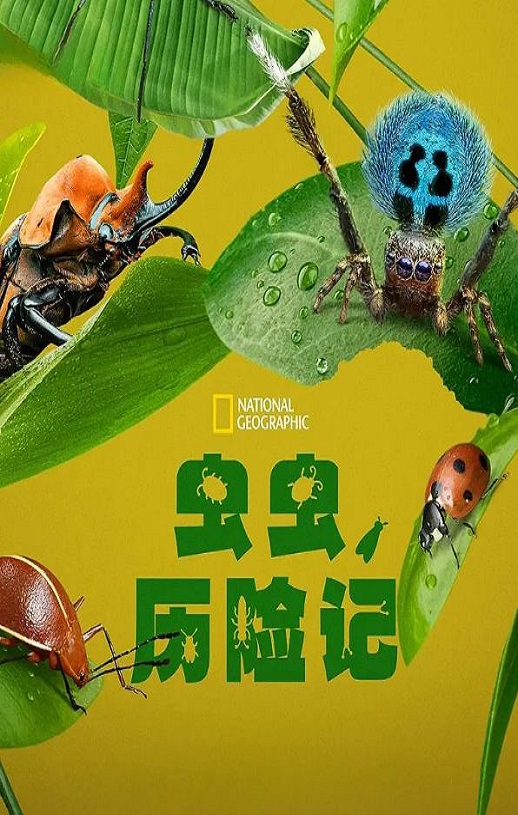 <b><font color='#FF0000'>虫虫历险记</font></b>