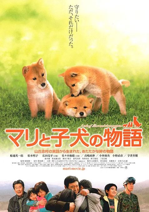 <b><font color='#FF0000'>爱犬的奇迹</font></b>