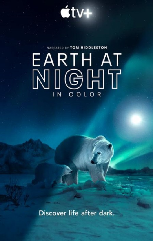 <b><font color='#FF0000'>夜色中的地球 第二季</font></b>