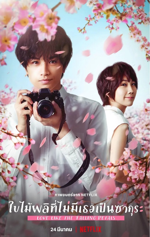 <b><font color='#FF0000'>我的樱花恋人</font></b>