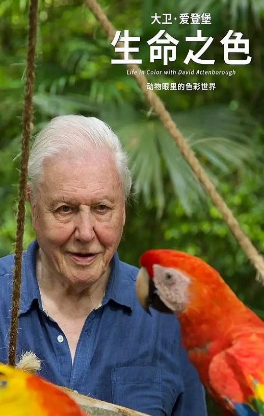 <b><font color='#FF0000'>生命之色</font></b>