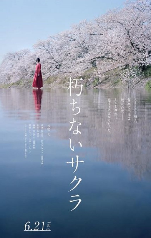 <b><font color='#FF0000'>不朽的樱花</font></b>