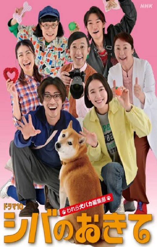 <b><font color='#FF0000'>柴犬的规矩～我们这群</font></b>