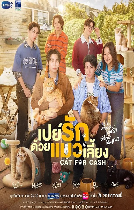 <b><font color='#FF0000'>以猫饲爱</font></b>