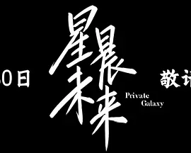 <b><font color='#FF0000'>星晨未来</font></b>