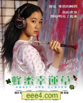 蜂蜜与四叶草