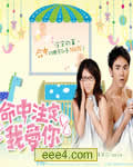 命中注定我爱你【更新