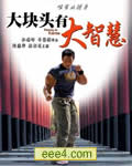 大块头有大智慧DVD
