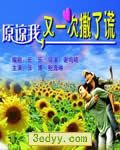 原谅我又一次撒了谎