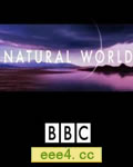 BBC自然世界.蚂蚁攻击